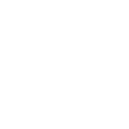 Lil' Resistance Bomber