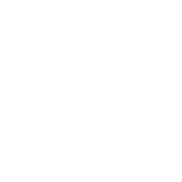 Danse Défi du dragon Fortnite Icon Image