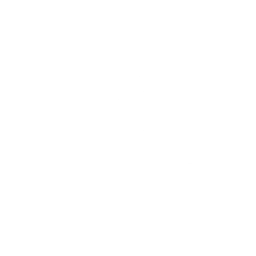 Emote Royal Ride Fortnite Icon Image