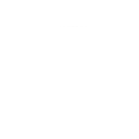 null Fortnite Emote