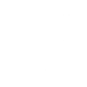 The Profiler