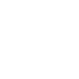 Emote Guardian's Parade Fortnite Icon Image
