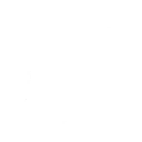 null Fortnite Emote