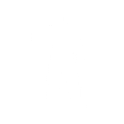 Nanite Flex