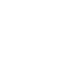 Squirrelly Fortnite Emote