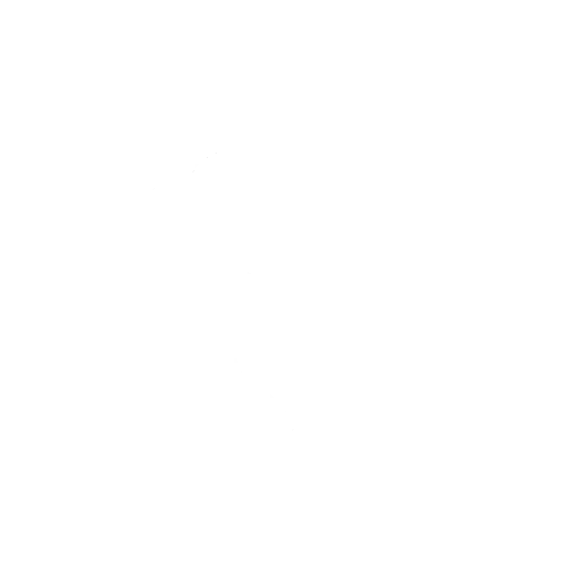 袜子