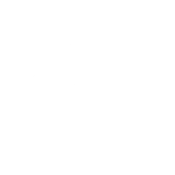 The Spark Icon