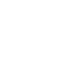 冲浪去！