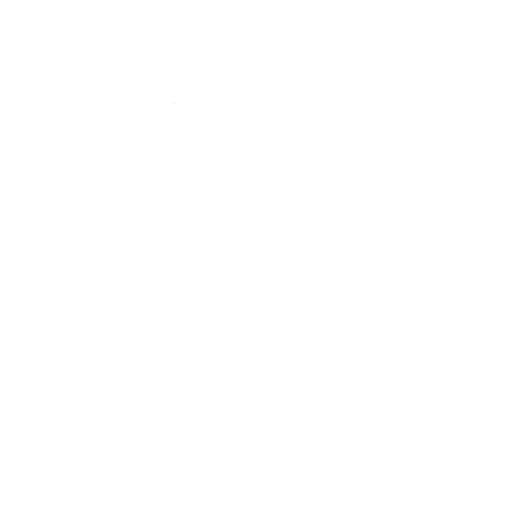 Style Ninja