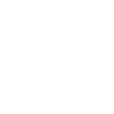 null Fortnite Emote