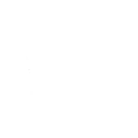null Fortnite Emote
