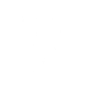 The Scarn