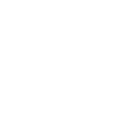 Destrezza dell'ordine