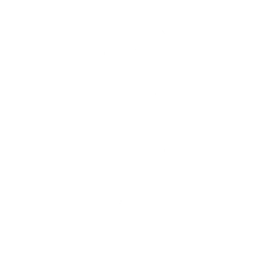 Image Icon