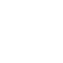 Lil' Meowscles Wagon