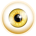 ゴールデンビジョン