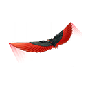 Red Robin's Wings