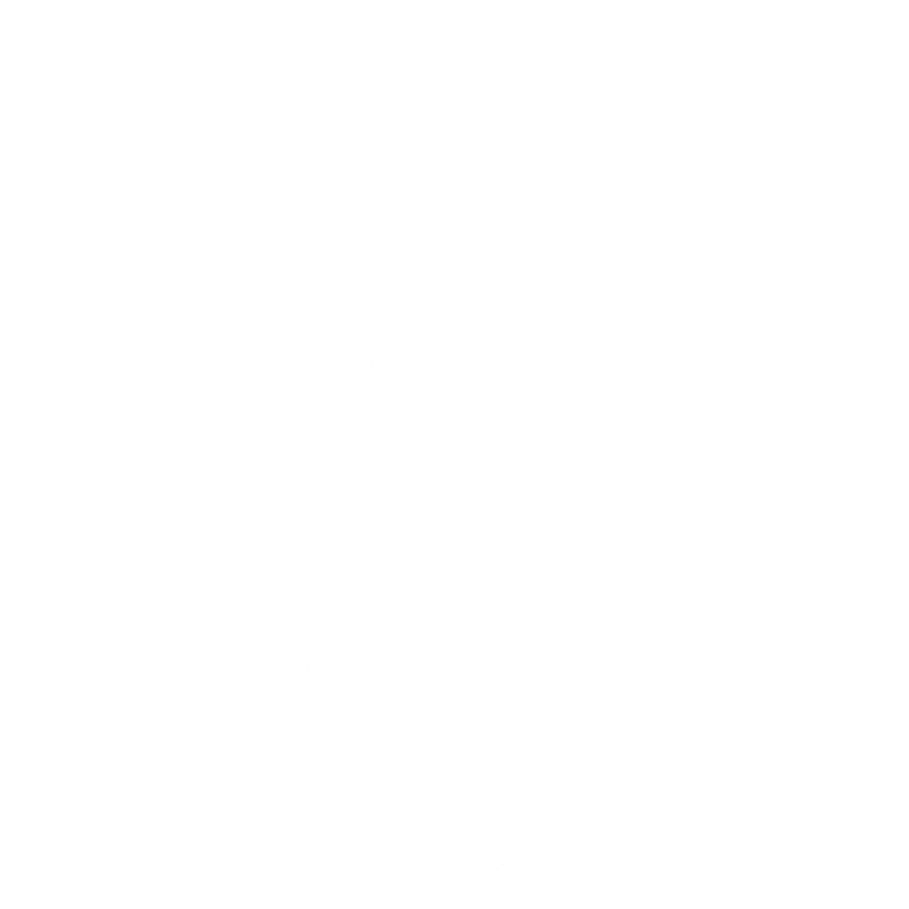 Phono Follies Phono Follies