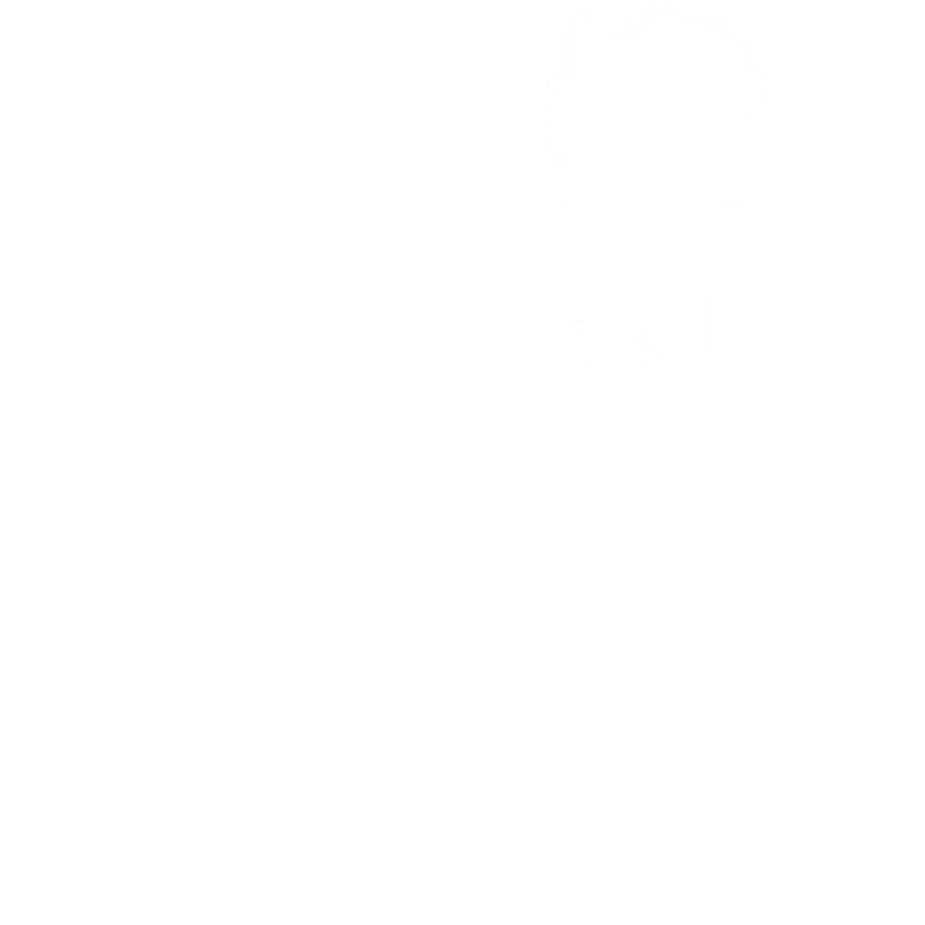 Davy's Pipe Organ