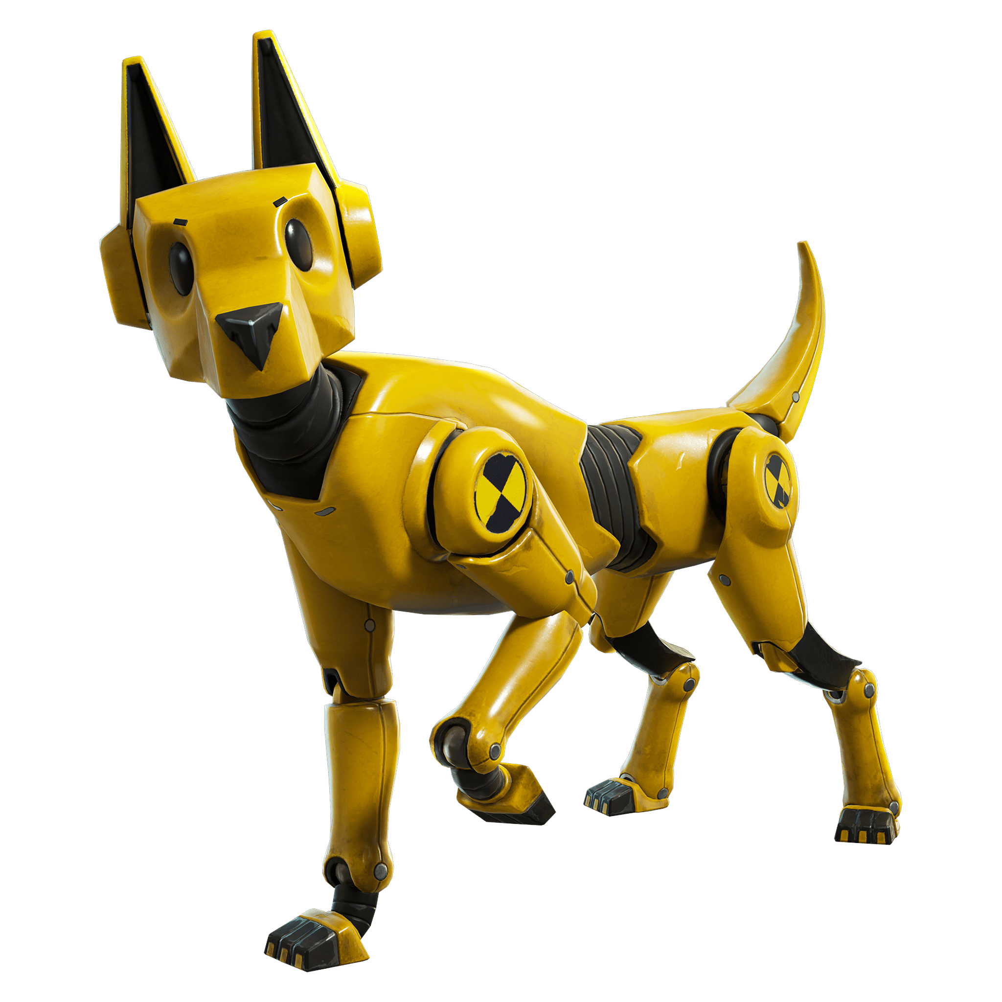 Dummy Dog Dummy Dog