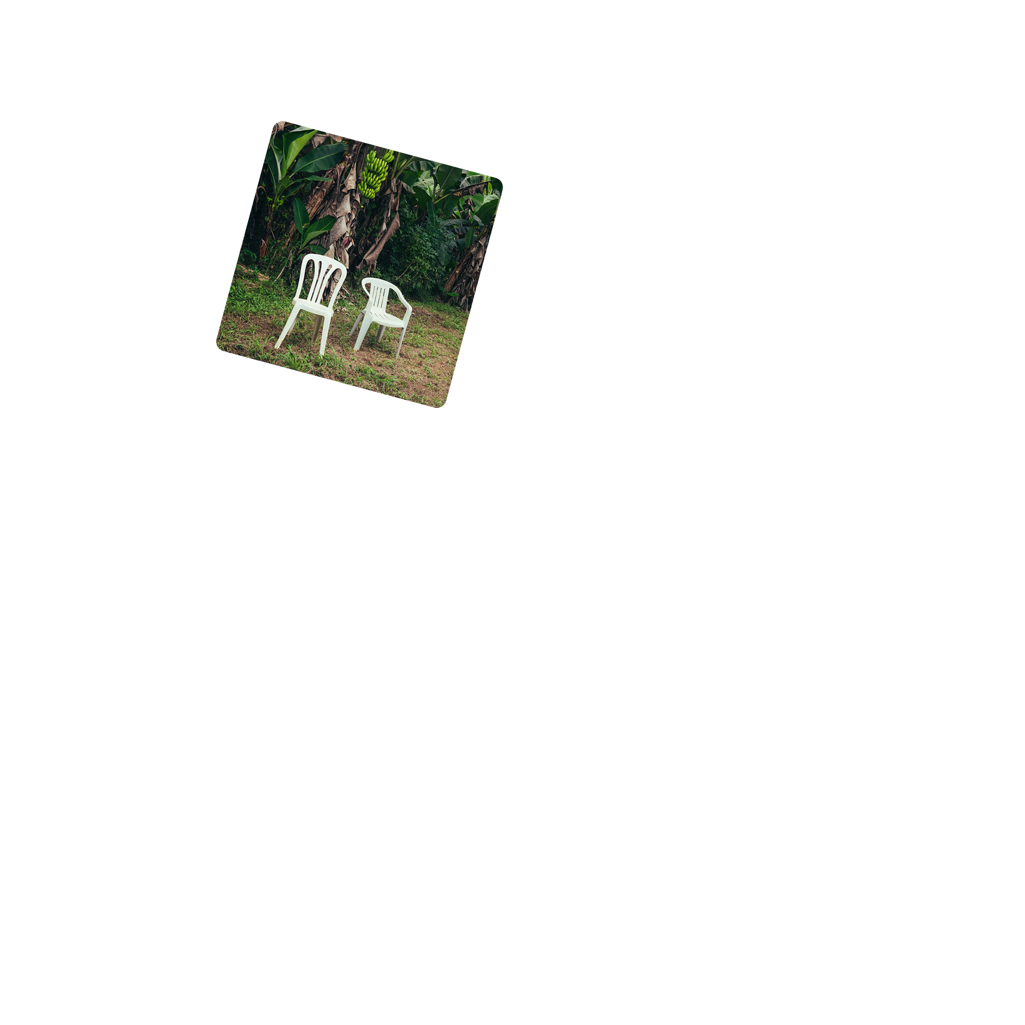 BAILE INoLVIDABLE Bundle