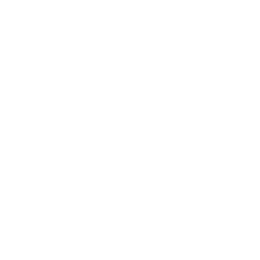 Fire Spinner Fire Spinner