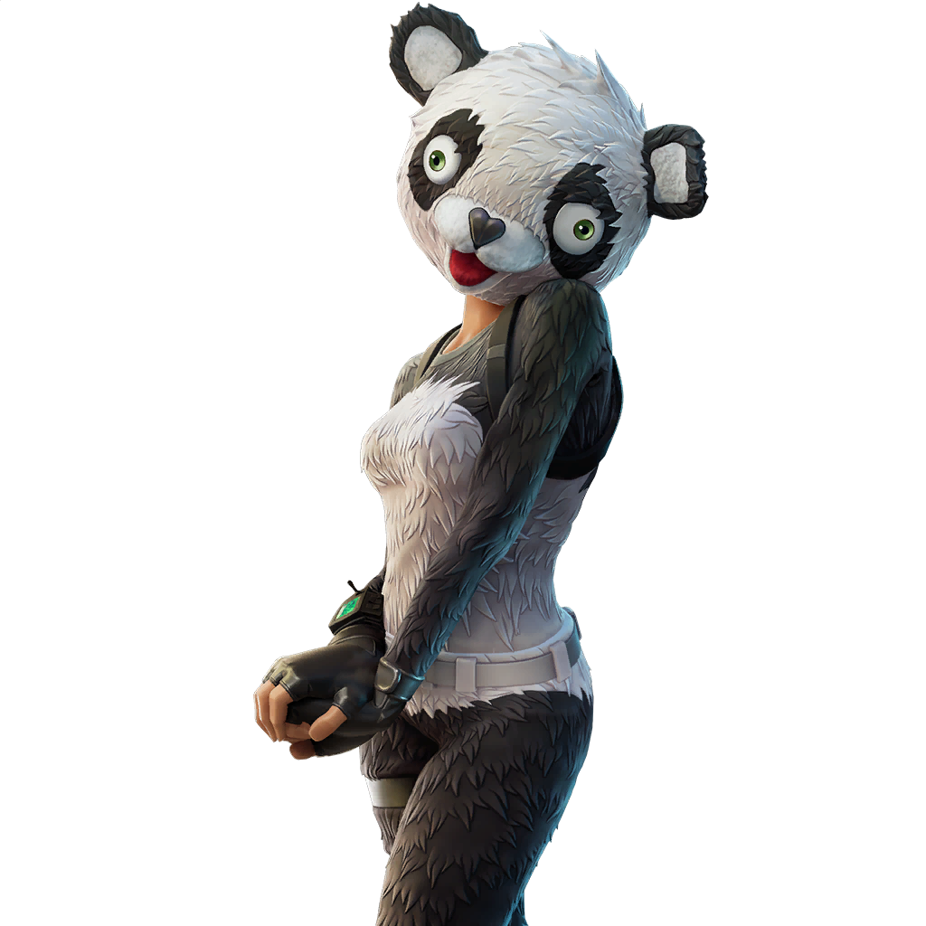 P.A.N.D.A Team Leader