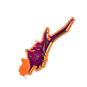 King's Cutter