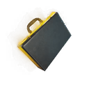 The Briefcase
