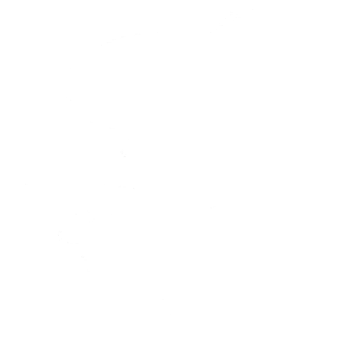 decal