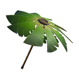 Palm Leaf