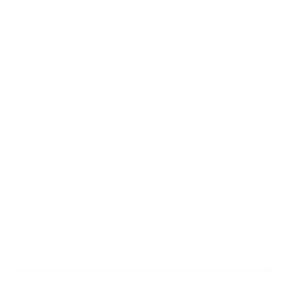 Knuckles