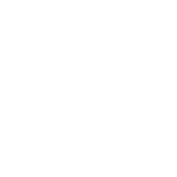 Absolute Blackwing