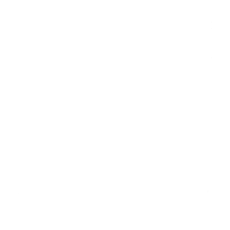 Reel Life（コモン スキン）- フォートナイト