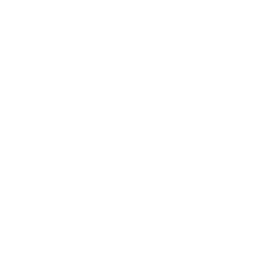 俺だけレベルアップな件：ARISE