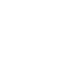 Jokerizado