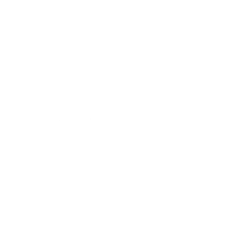 AMG（アンコモン スキン）- フォートナイト