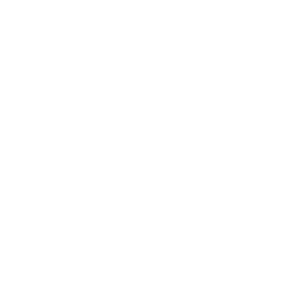 NBP
