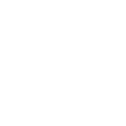 Strisce