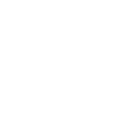Black Bulls Asta