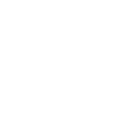 Black Bulls Noelle