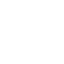 NASCAR Next Gen Ford Mustang