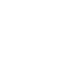 NASCAR Classic