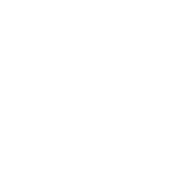Bandes