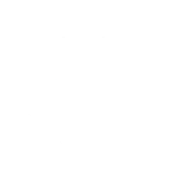 Air Jordan 6 Infrared