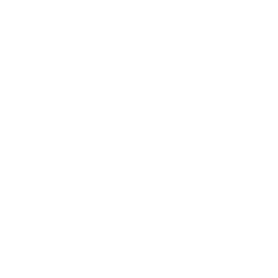 Skullface