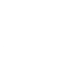 Pegasus