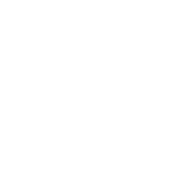 Italian Flag
