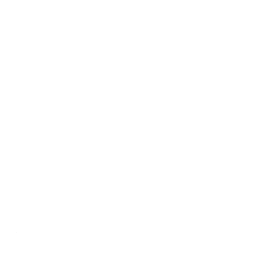 The Number