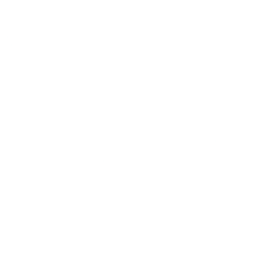 Skulls